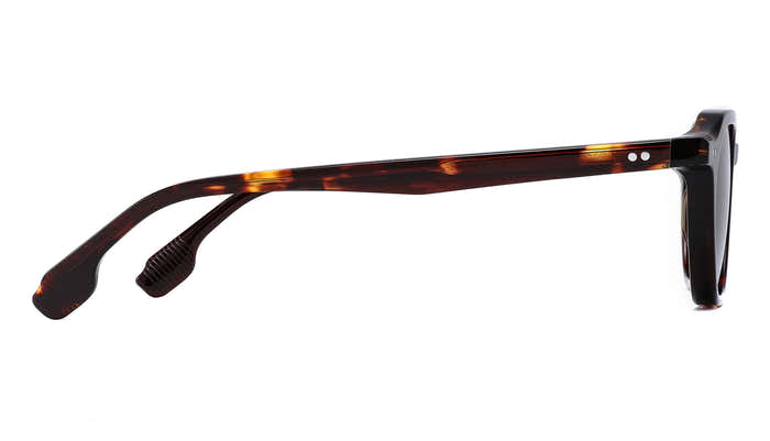 Quin - Gafas de Sol